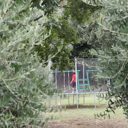 Le Colline 2*